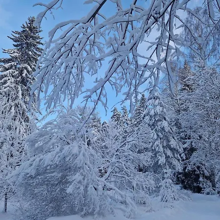 Compact Beautiful With Sauna Апартаменты Куусамо