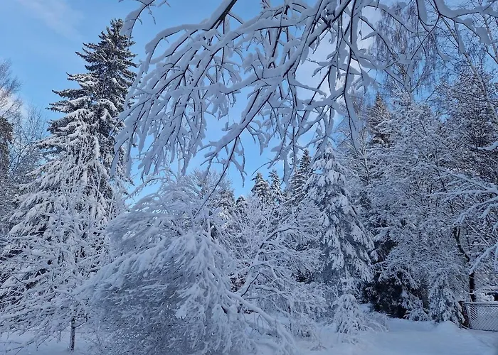 Compact Beautiful With Sauna Apartman Kuusamo