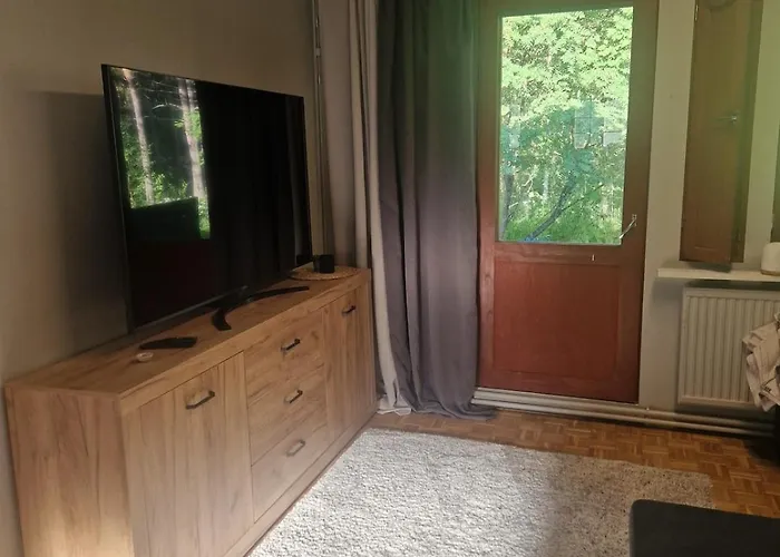 Compact Beautiful With Sauna *