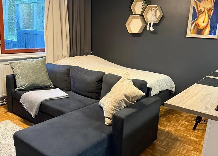 Compact Beautiful With Sauna Kuusamo